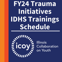 FY24 Trauma Initiatives IDHS Trainings Schedule